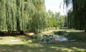 Garten des Seminarhauses in Upie - Sprachurlaub in Frankreich